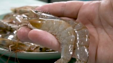 White fresh raw shrimp in hand