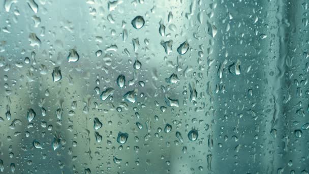 Goutte de pluie sur fenêtre en verre — Video