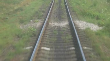 Rail System in Motion at Green Trees Background