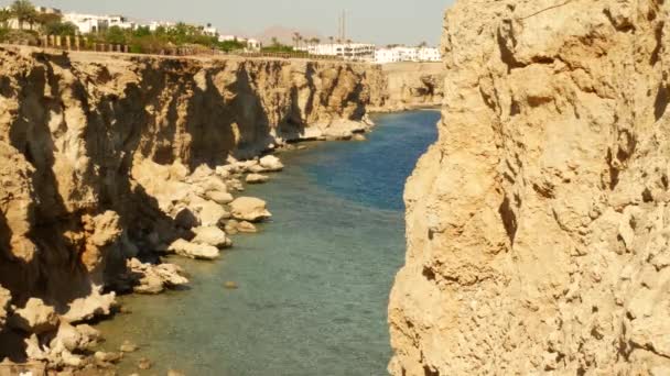 Beach on bay on coastline with waves — Stockvideo