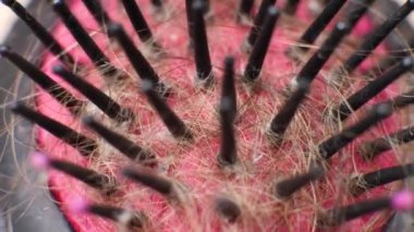 Tarakta sorun saçı