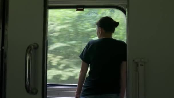 La donna guarda fuori dal finestrino del treno in carrozza durante il viaggio — Video Stock