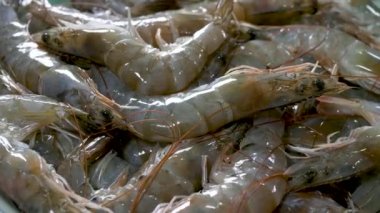 Çiğ çiğ çiğ karides tabakta