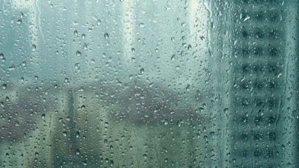 Goutte de pluie sur fenêtre en verre — Video