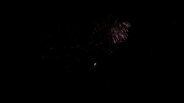 Pesta kembang api malam tahun baru — Stok Video