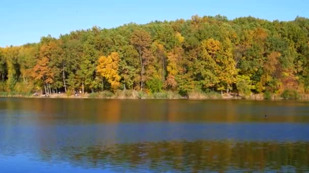 Осенняя красочная листва с озером — стоковое видео