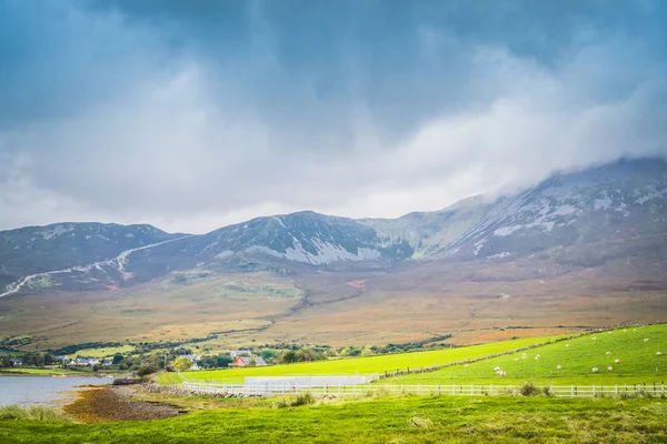 Irlande vie en montagne — Photo