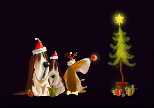 Τρία σκυλιά basset κυνηγόσκυλο Κοιτάξτε το χριστουγεννιάτικο δέντρο με το λαμπερό αστέρι στην κορυφή. Χριστουγεννιάτικη κάρτα — Διανυσματικό Αρχείο