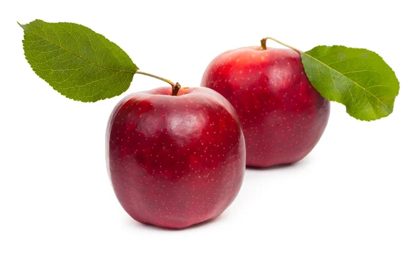 Dos manzanas rojas aisladas sobre fondo blanco, primer plano . — Foto de Stock