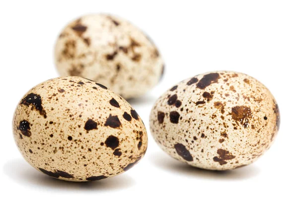 Raw quail eggs with spotted surface isolated on a white backgrou — Stock Photo, Image