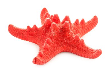 Beyaz bacground izole parlak kırmızı deniz yıldız