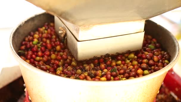 Grain de café cru dans la fraiseuse, processus de café — Video