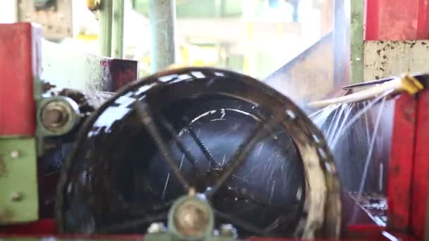 Ruwe koffieboon in frezen machine, koffie proces — Stockvideo