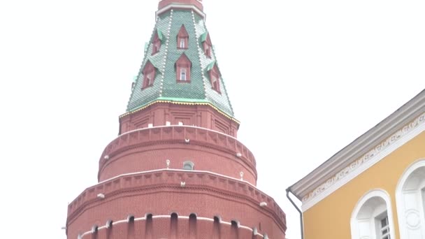 MOSCOW-8 April 2017: Tentara Rusia dan bunga merah di Istana Kremlin. Istana Kremlin adalah markah tanah Moskow, Rusia . — Stok Video