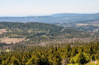 Almanya Harz dağlarında