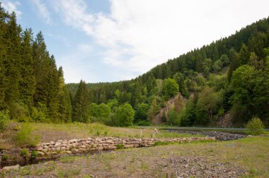 Innerste Nehri Almanya Harz dağlarında