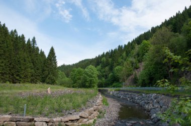 Innerste Nehri Almanya Harz dağlarında