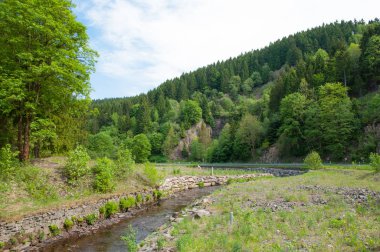 Innerste Nehri Almanya Harz dağlarında