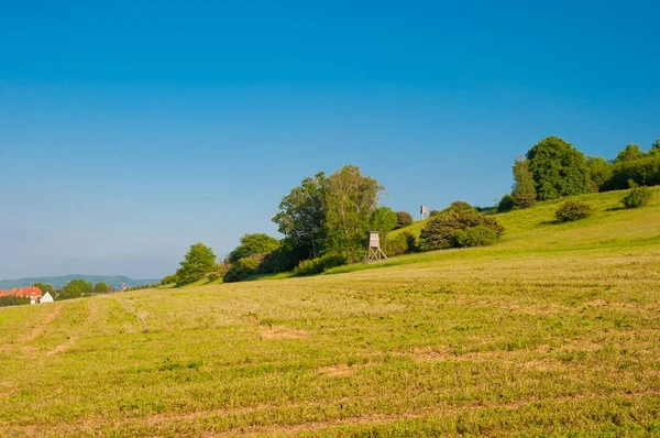 Almanya'da Ilsenburg yakınlarındaki bir tepe üzerinde alan