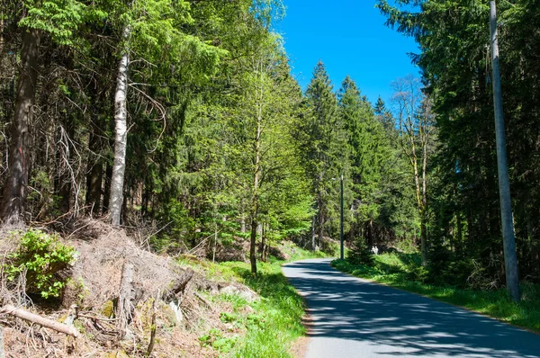 Vägen i nationalparken Harz i Tyskland — Stockfoto