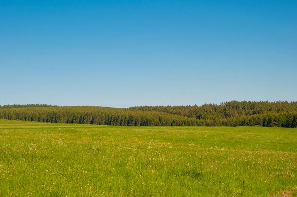 Paisagem alemã nas montanhas Harz — Fotografia de Stock