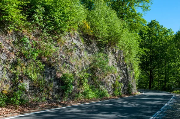Road in the Bode Valley in Germany — Stock Photo, Image
