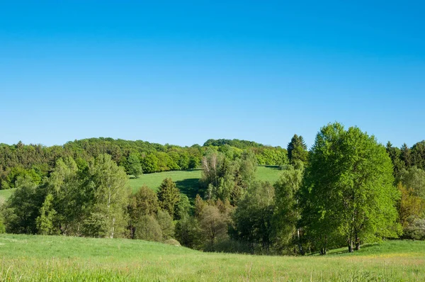 Harz Dağları'nda Alman kırsal manzara