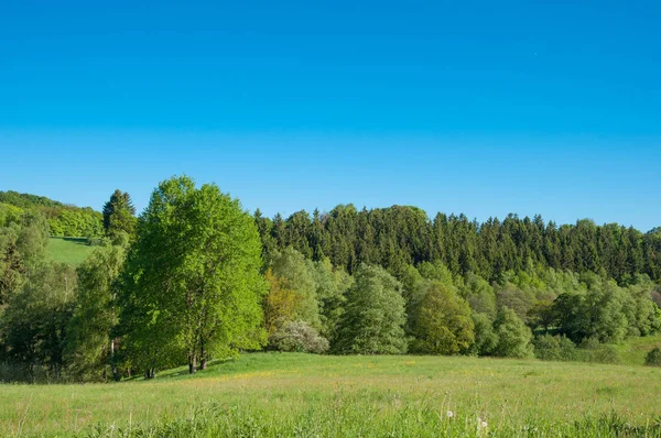Harz Dağları'nda Alman kırsal manzara