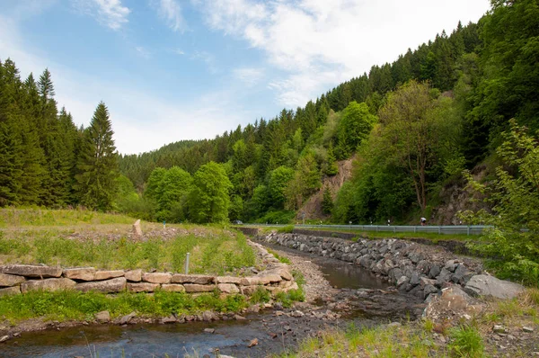 Innerste Nehri Almanya Harz dağlarında