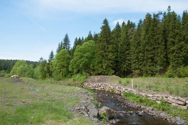 Innerste Nehri Almanya Harz dağlarında