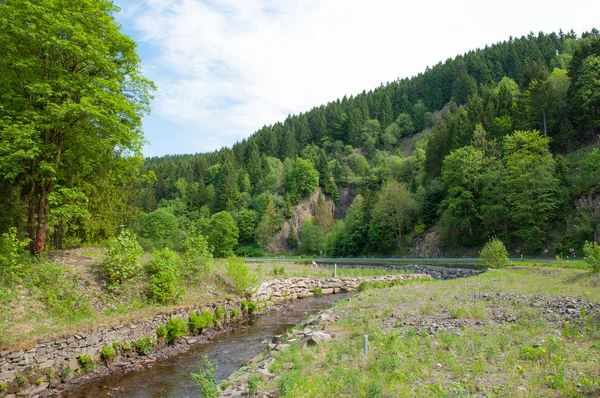 Innerste Nehri Almanya Harz dağlarında