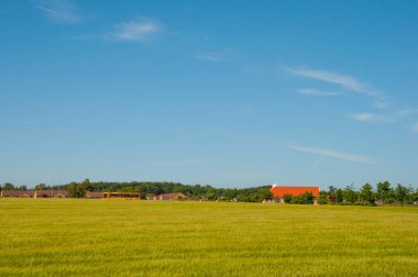 Danimarka tarım manzara mavi gökyüzü ile