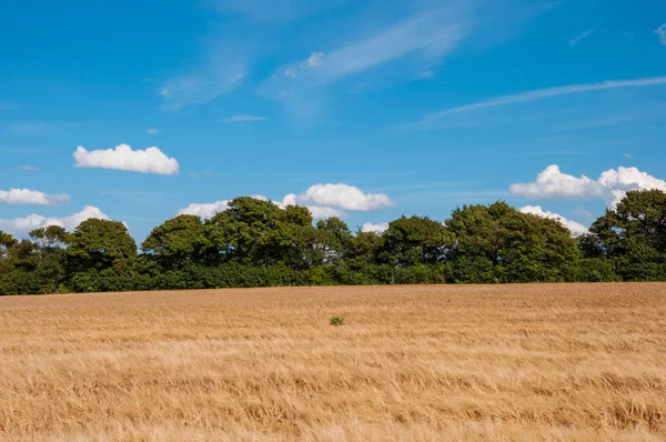 Danish countryside landscape — Stock Photo, Image
