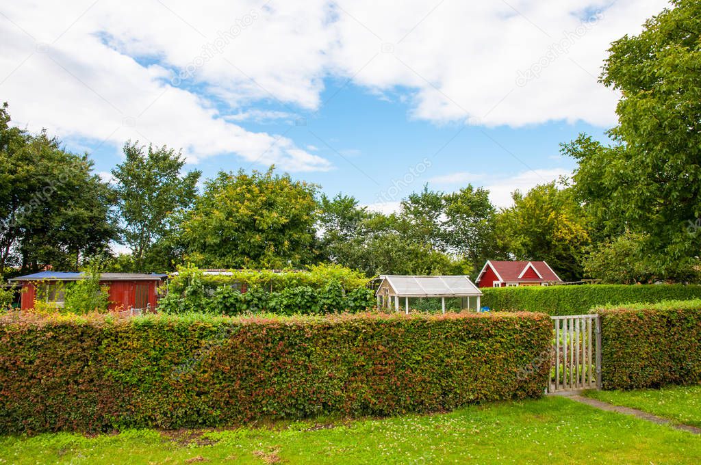 An allotment garden in town of Ringsted in Denmark