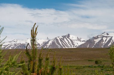 Hrisey adasında İzlanda manzara