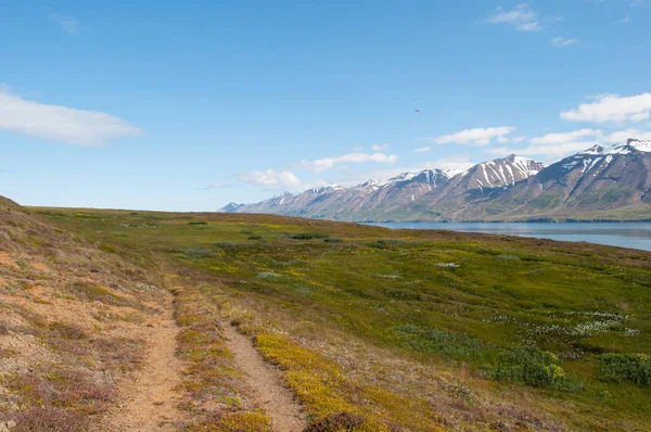 İzlanda'daki Hrisey Adası üzerinde rota hiking — Stok fotoğraf