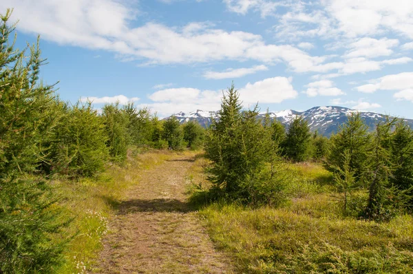 İzlanda'daki Hrisey Adası üzerinde rota hiking 