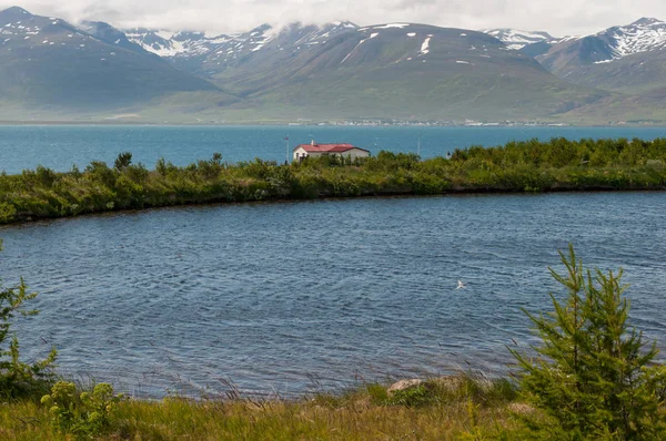 Göl Adası Hrisey İzlanda '