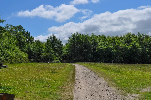 Path in Danish park — Stock Photo, Image