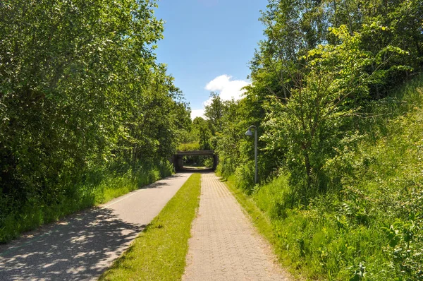 Liten Stig i Aalborg Danmark — Stockfoto