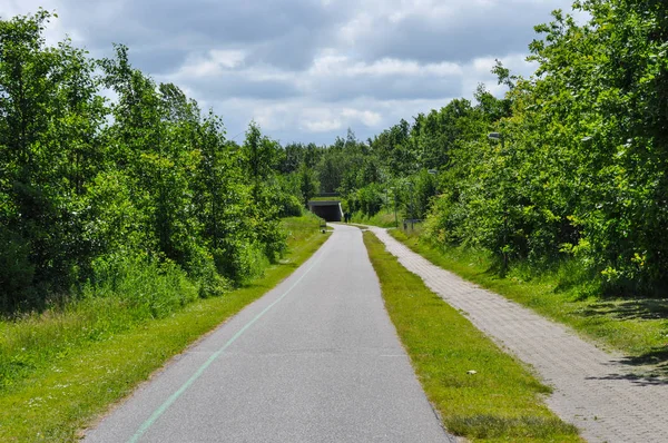 Sökvägen i Aalborg Danmark — Stockfoto