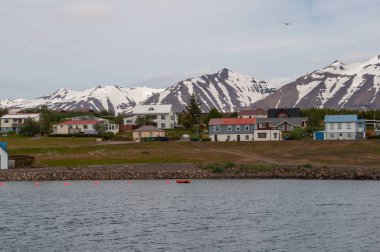 İzlanda'daki Hrisey Köyü
