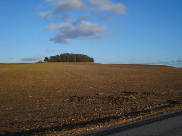 Danska fältet under våren — Stockfoto
