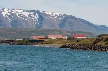North Iceland'deki / daki kıyısına yakın bir çiftlik