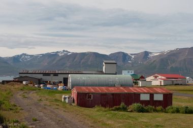 İzlanda'daki Hrisey Adası üzerinde eski sanayi binalar