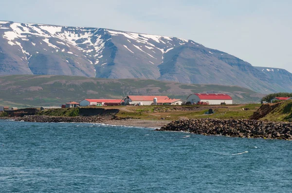 North Iceland'deki / daki kıyısına yakın bir çiftlik