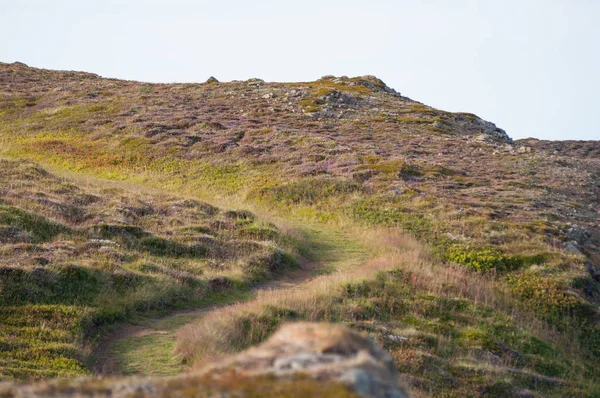 İzlanda'daki Hrisey Adası üzerinde rota hiking 