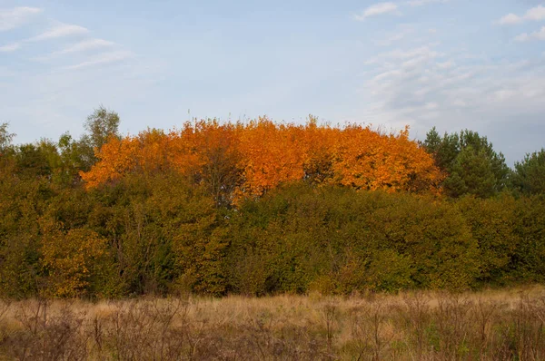 Danimarka kırsal kesimde düşmek 