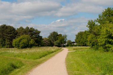 Ballerup polis banliyölerinde Danimarka manzarada bir yolda