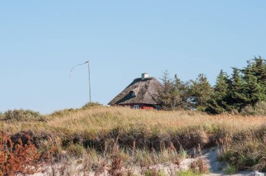 Thatched çatı ile Danimarka tatil evi